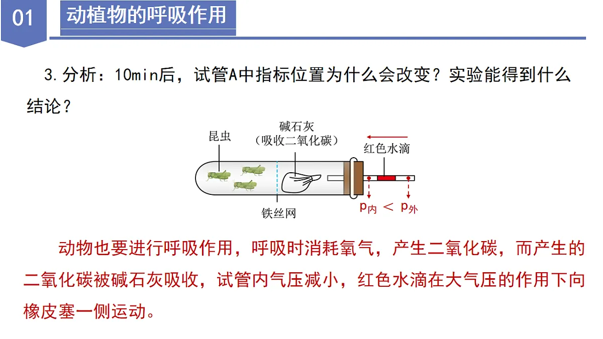 17997163第8页