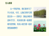 14 古诗二首 课件 统编版语文二年级下册