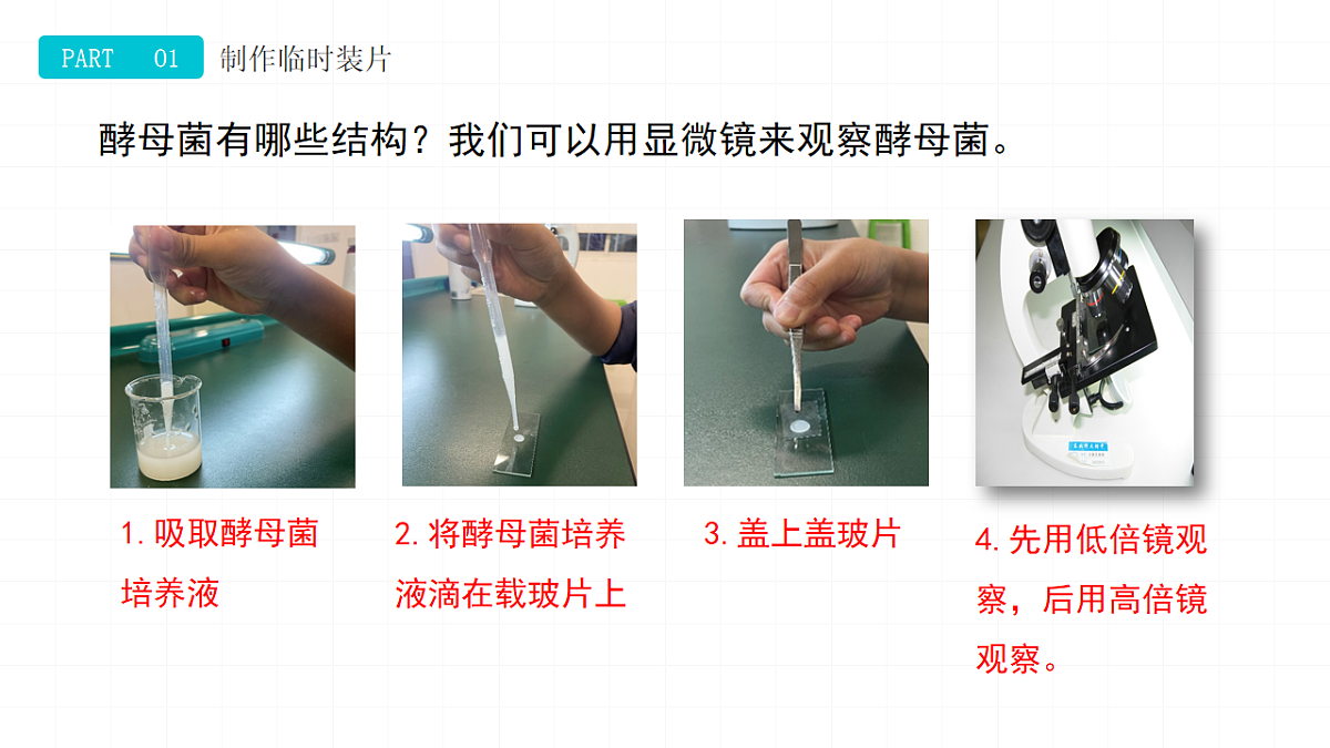 17997242第5页