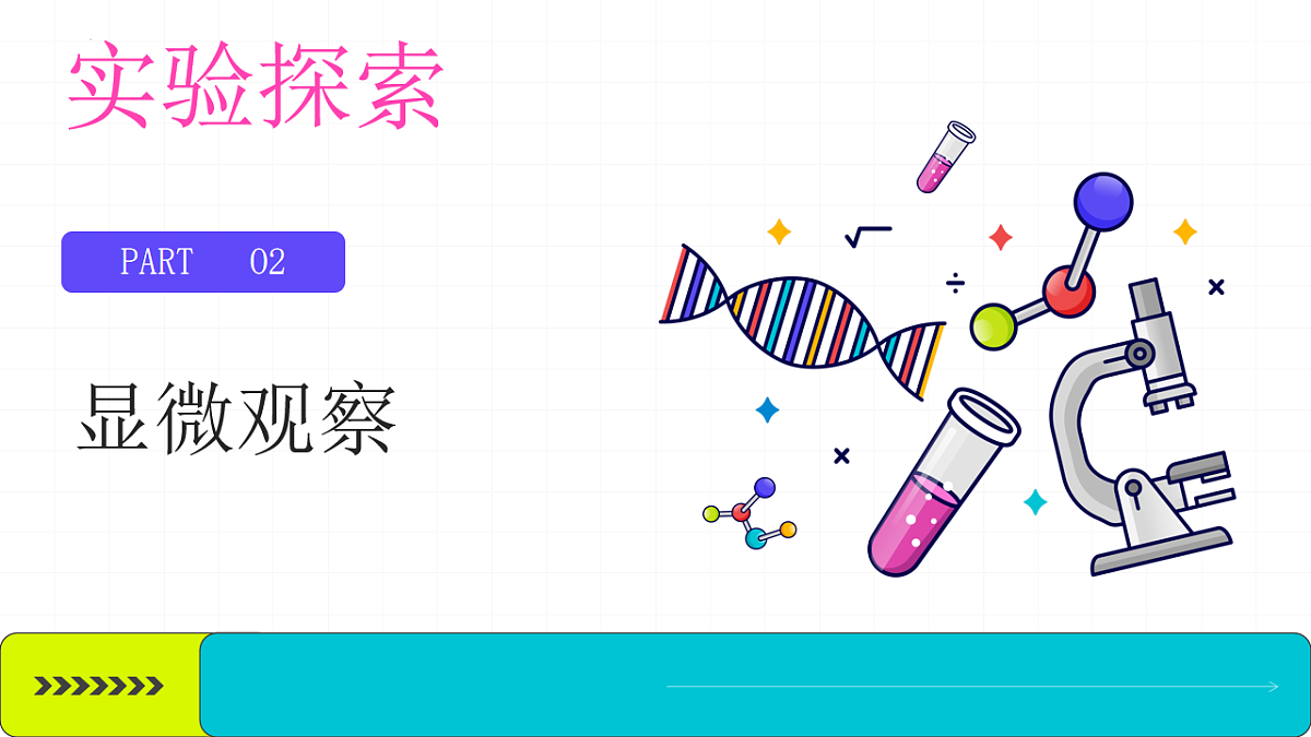 17997242第7页