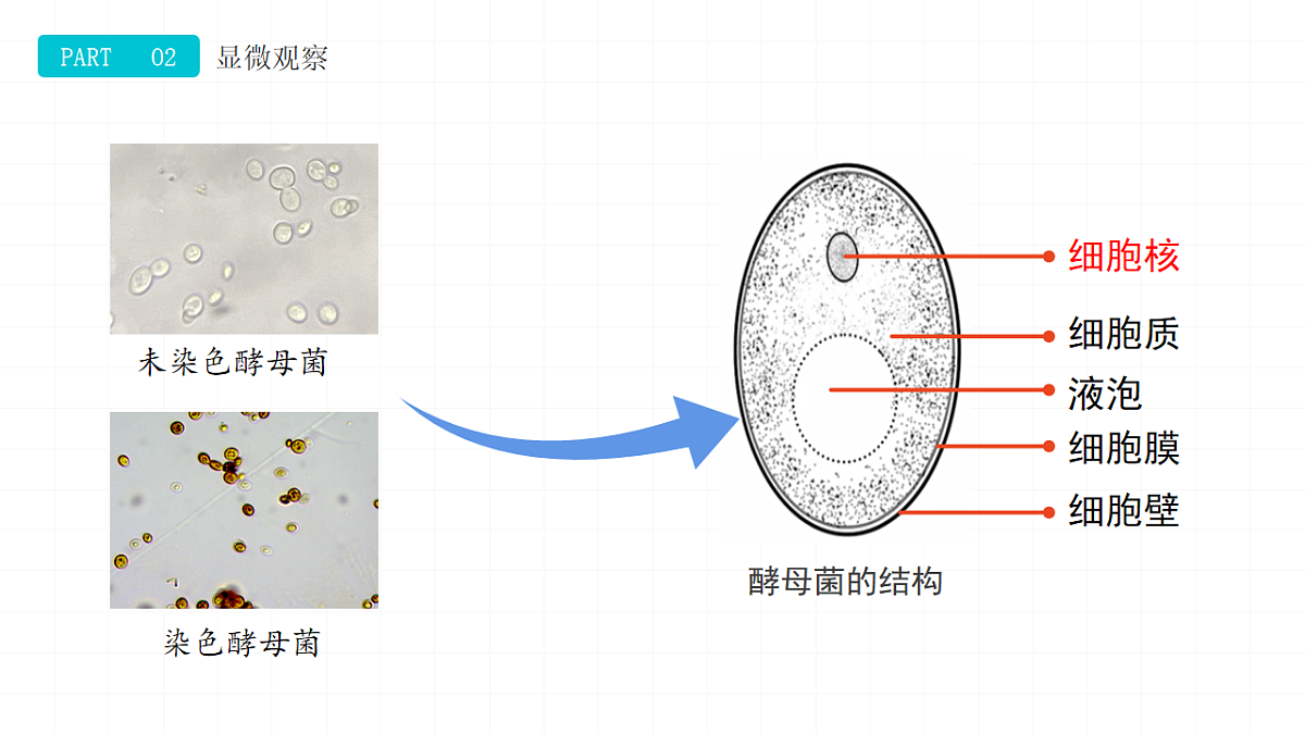 17997242第8页
