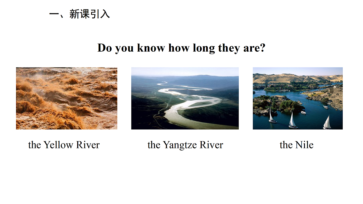 17997306第3页