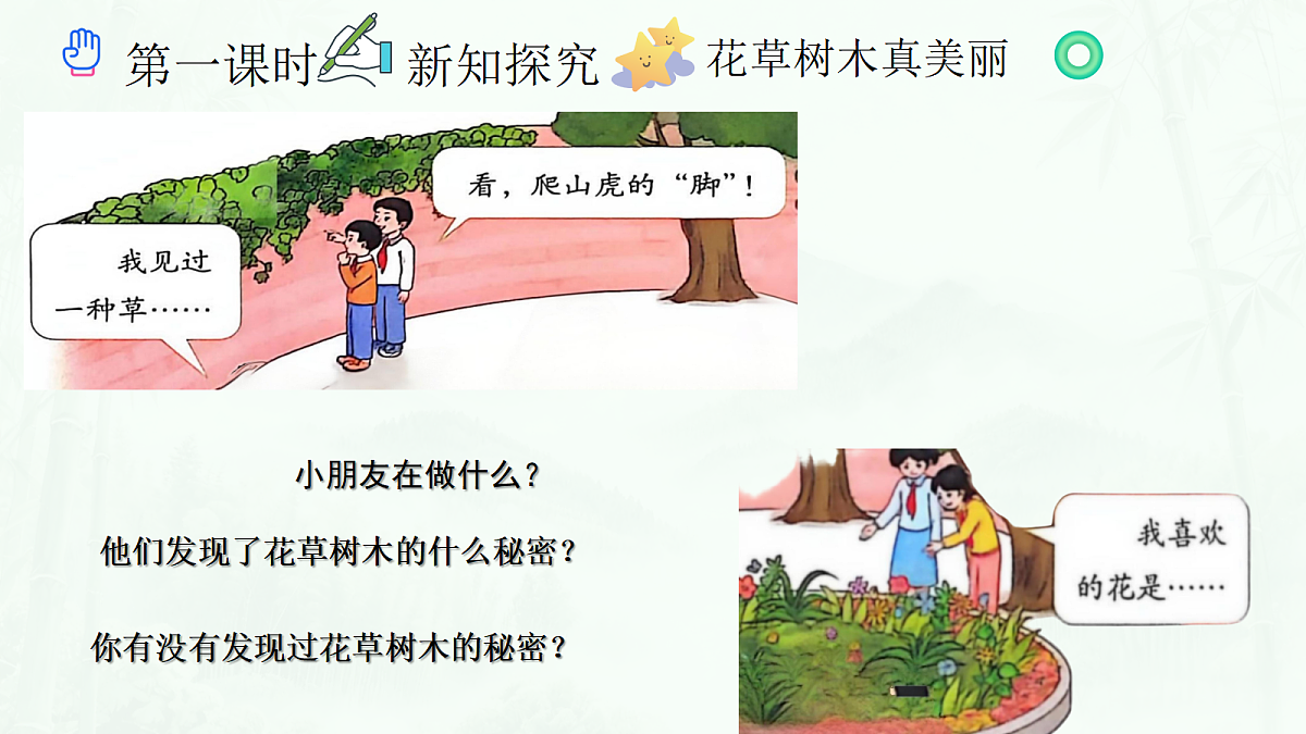 《6 爱护动植物》教学课件第4页