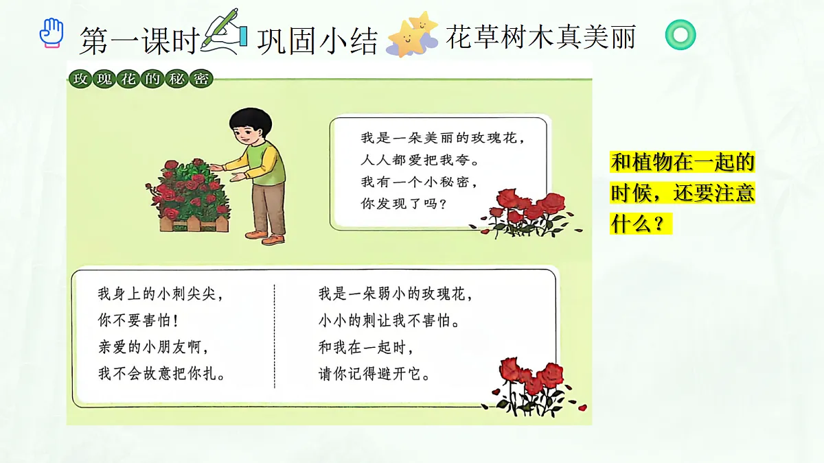 《6 爱护动植物》教学课件第6页
