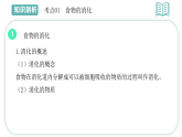 第四单元 第二章 第二节 消化和吸收 2025-2026学年初中生物七年级下册同步课件（人教版2024）
