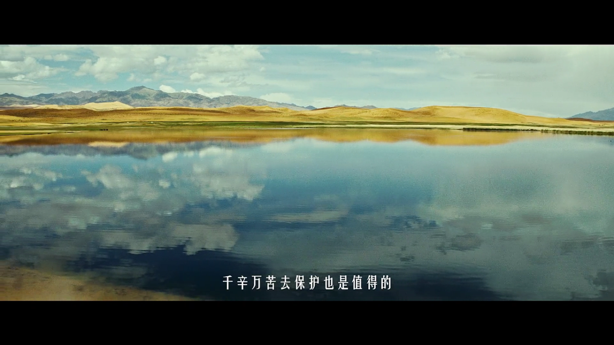 17997571第1页