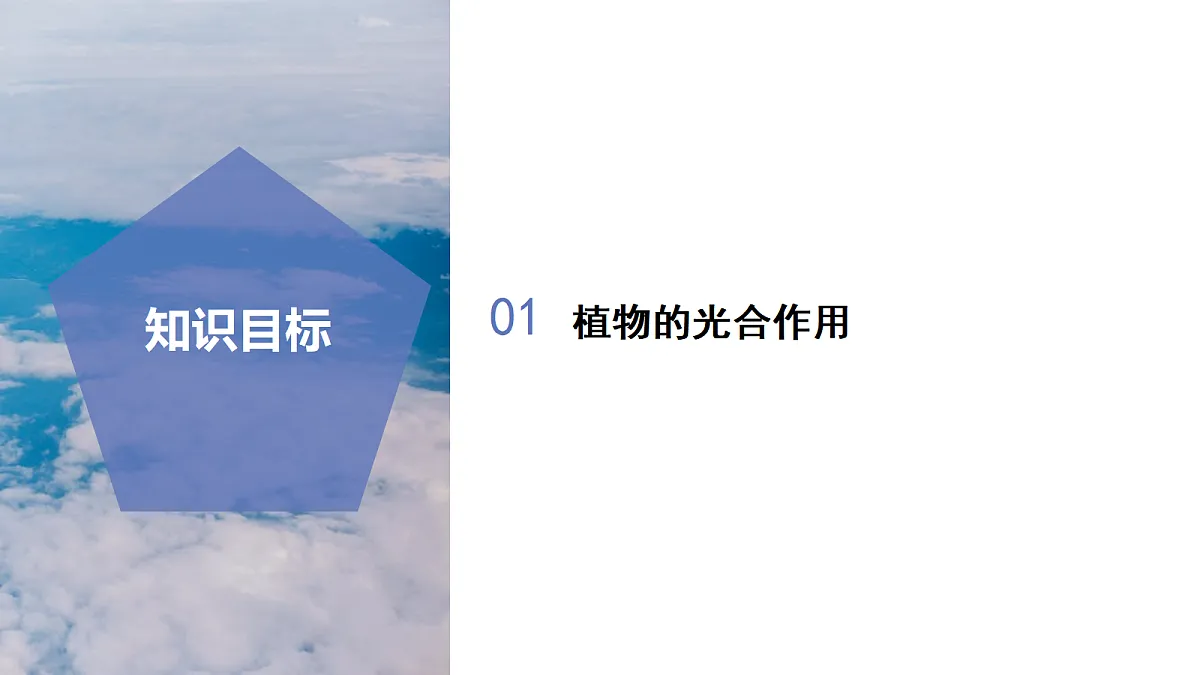 17997579第2页