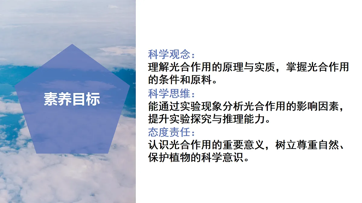 17997579第3页