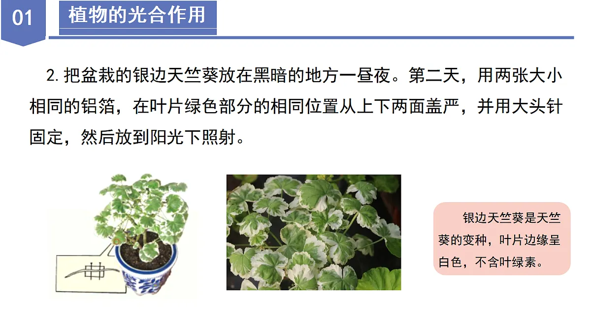 17997579第8页