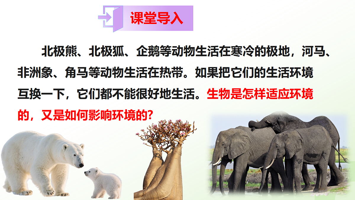 17997604第2页