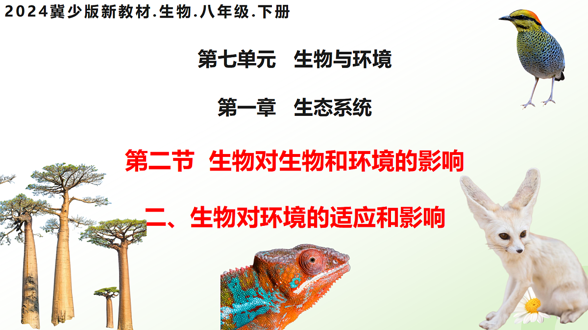 17997604第3页