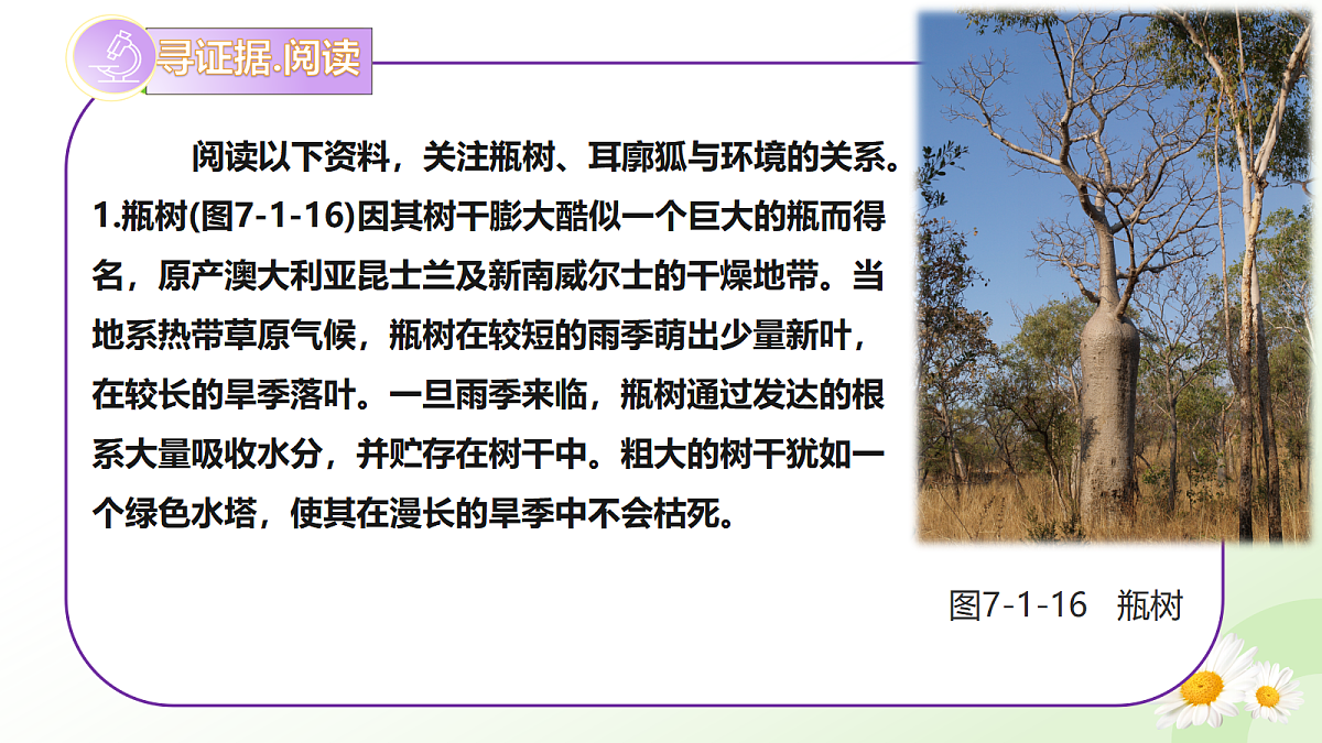 17997604第6页