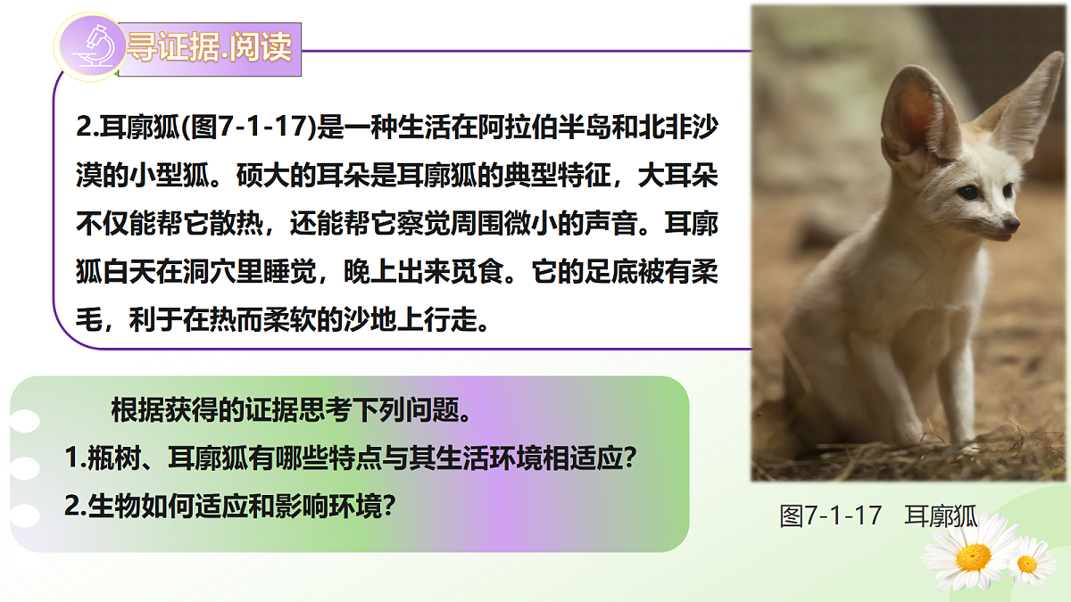 17997604第7页