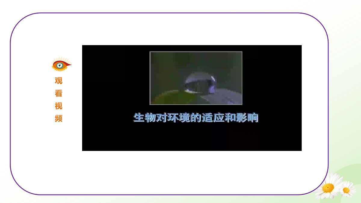 17997604第8页