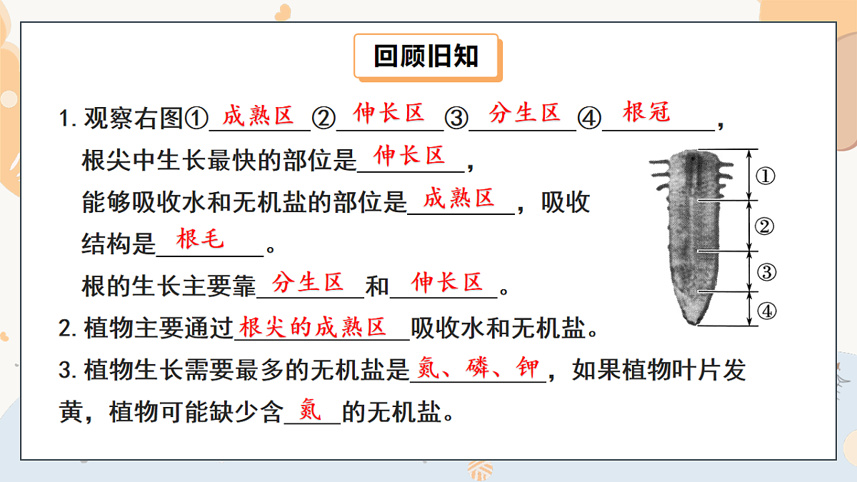 17997813第3页