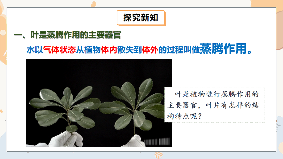 17997813第5页