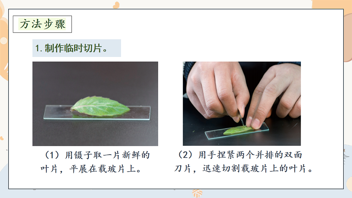 17997813第7页