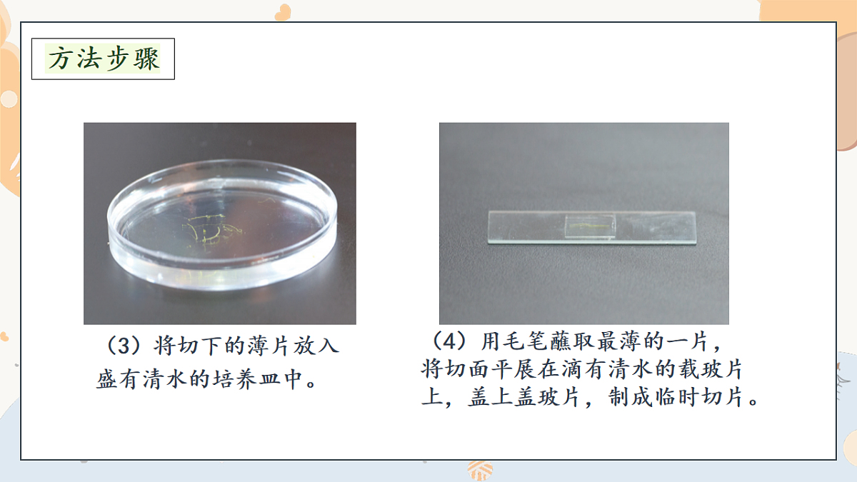 17997813第8页