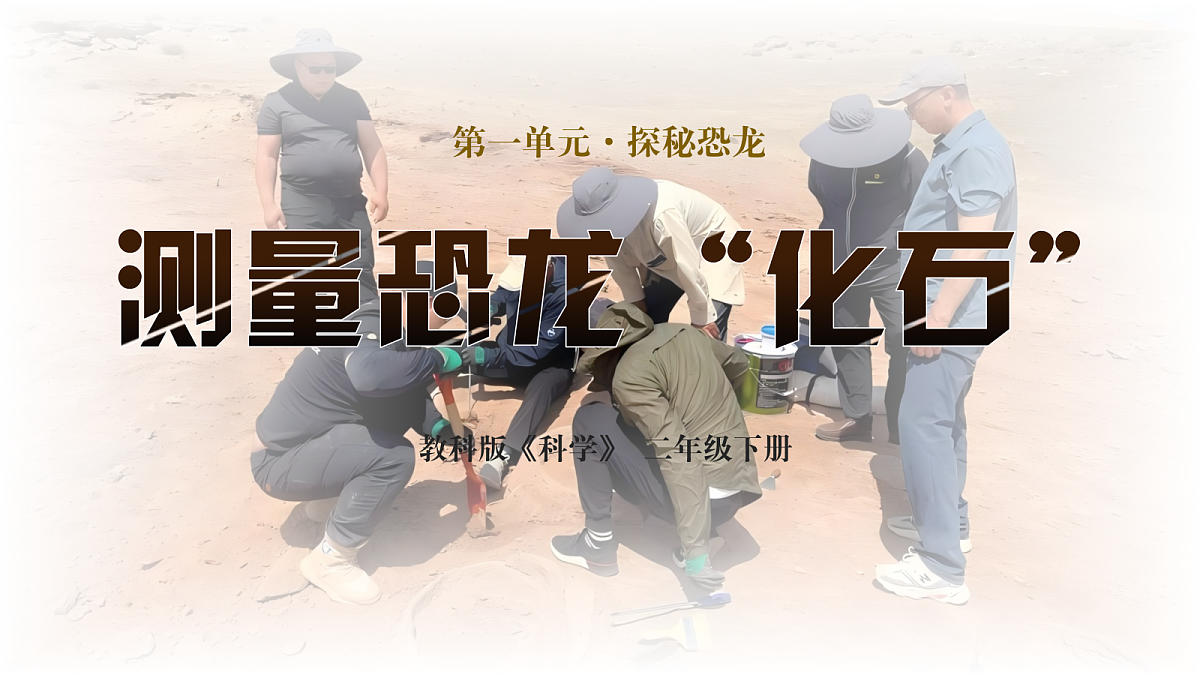 17998876第1页