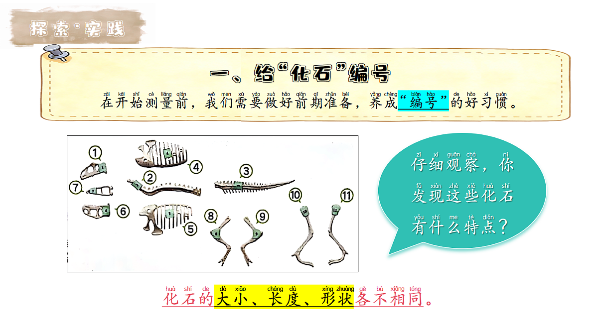 17998876第4页