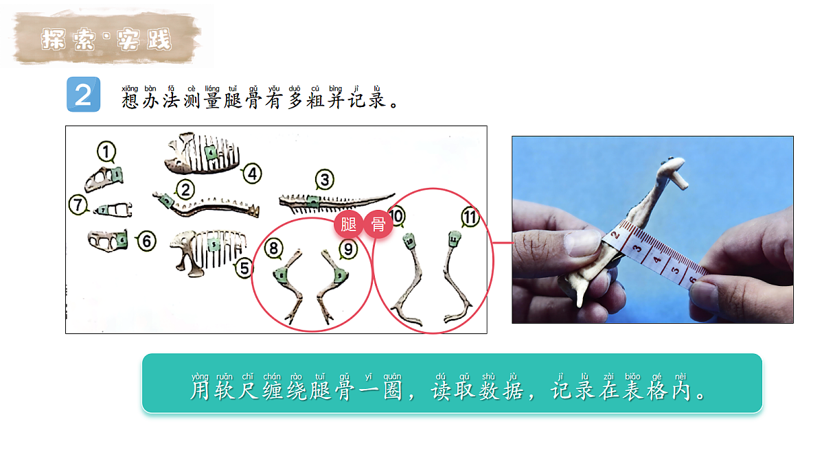 17998876第7页