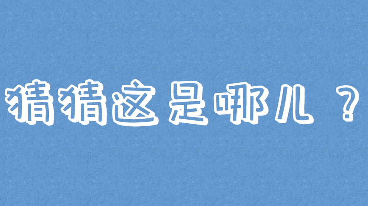 17998919第2页