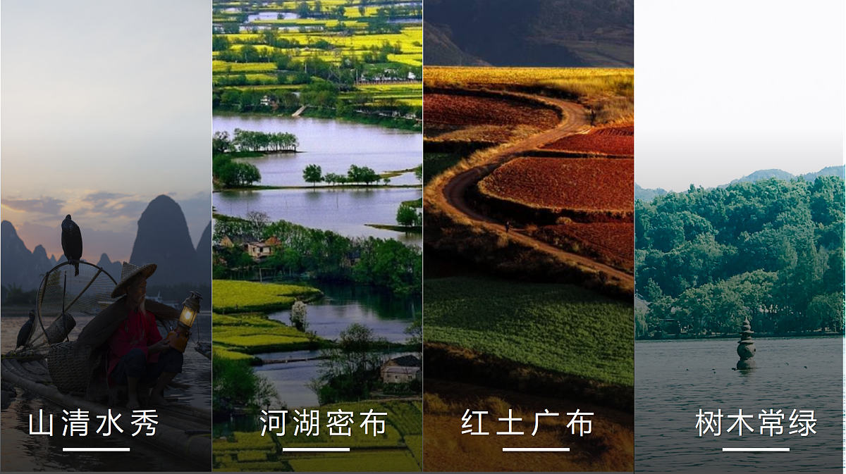 17998919第3页