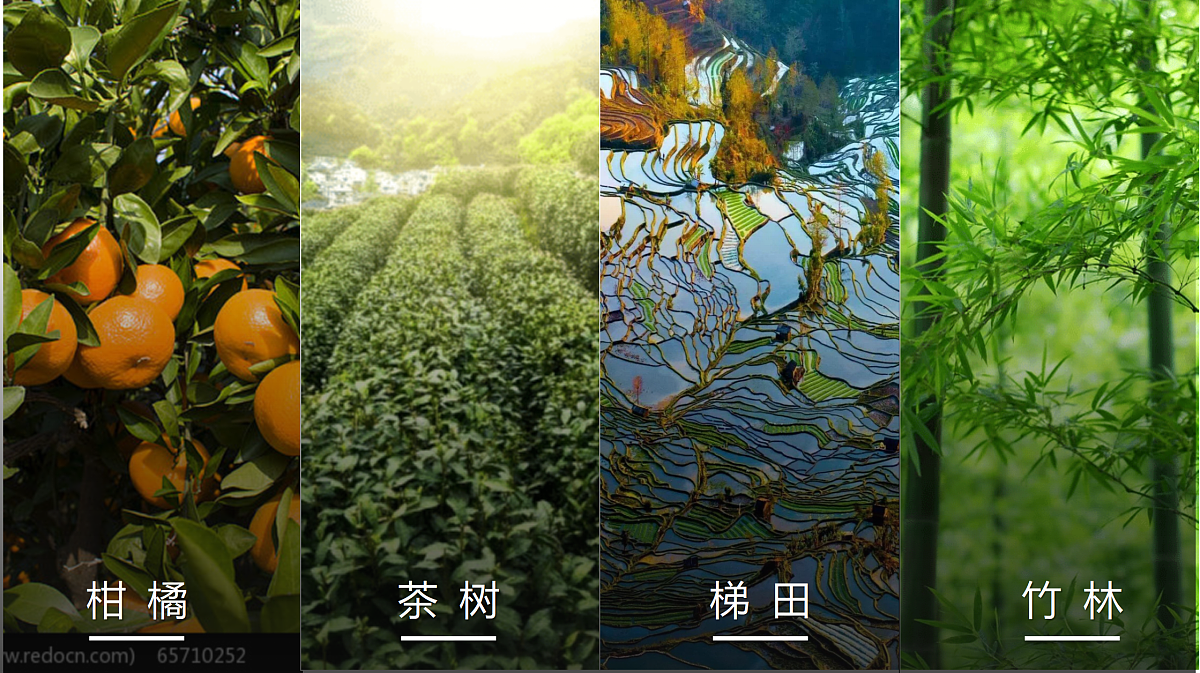 17998919第4页