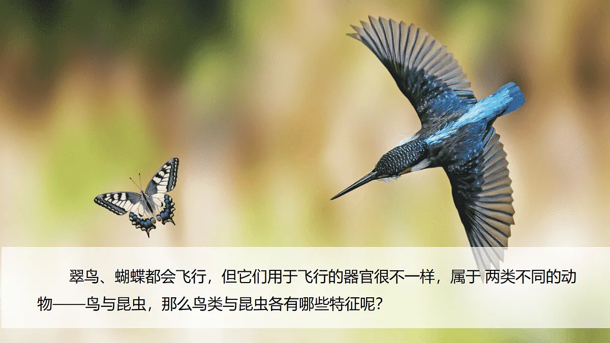 17998923第2页
