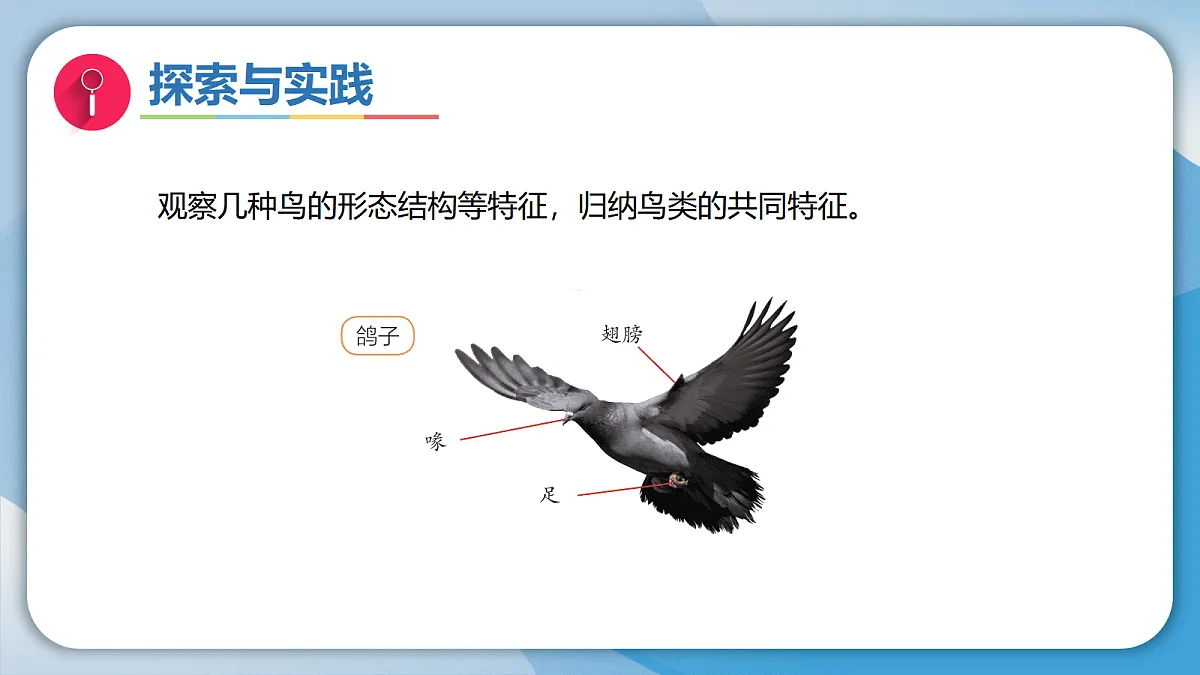 17998923第4页