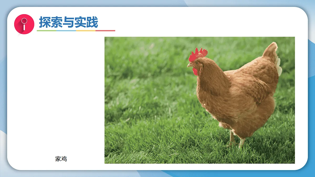 17998923第8页