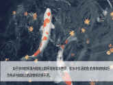 3水中的鱼（课件）科学三年级下册（粤教科技版2024）