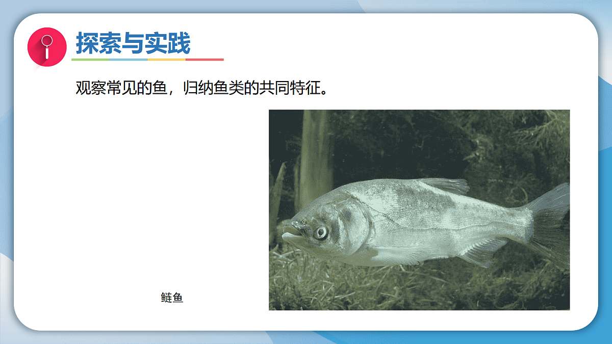 17998924第4页