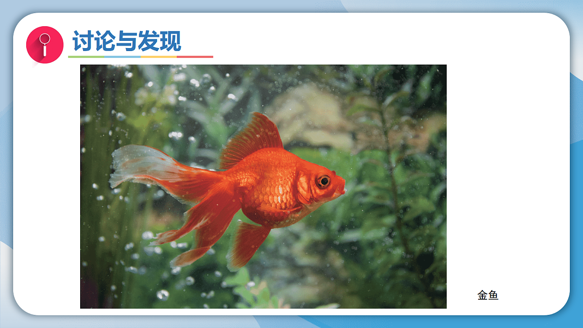 17998924第5页