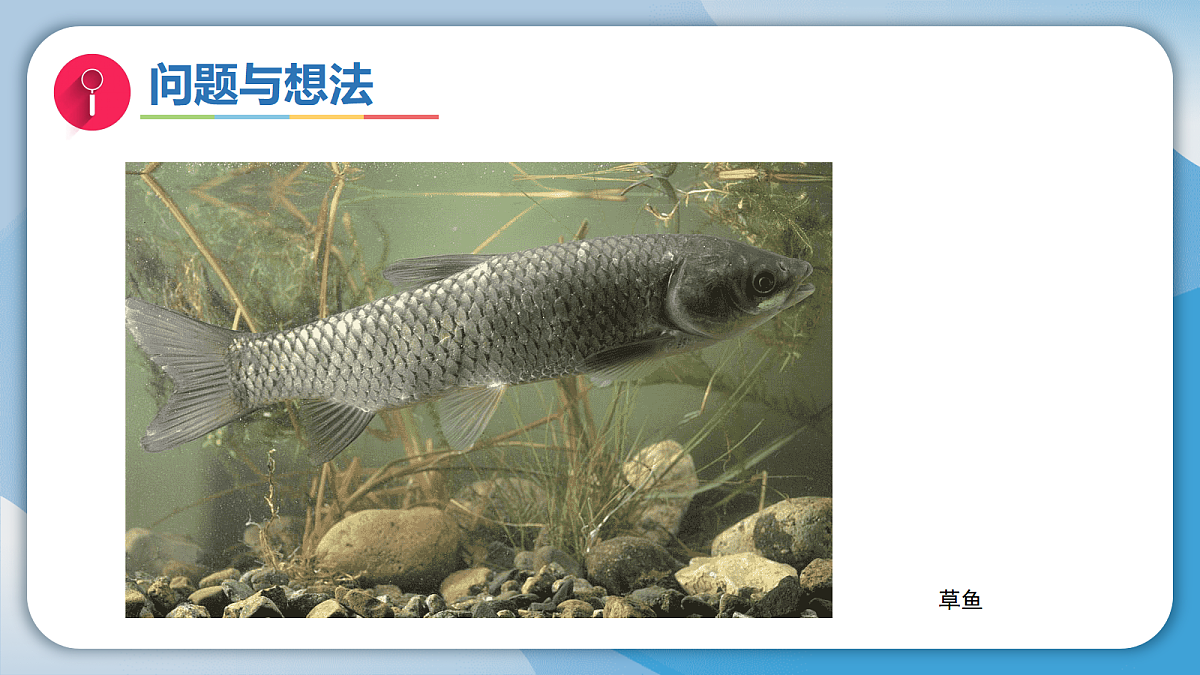 17998924第6页