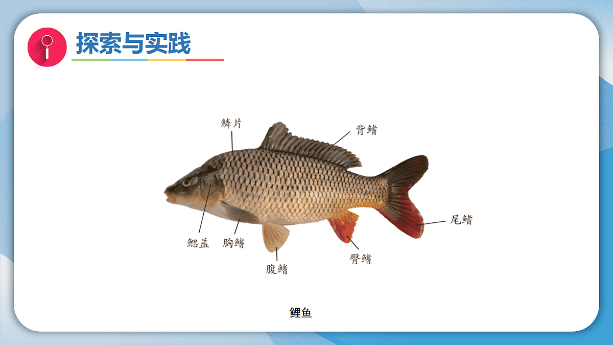 17998924第7页