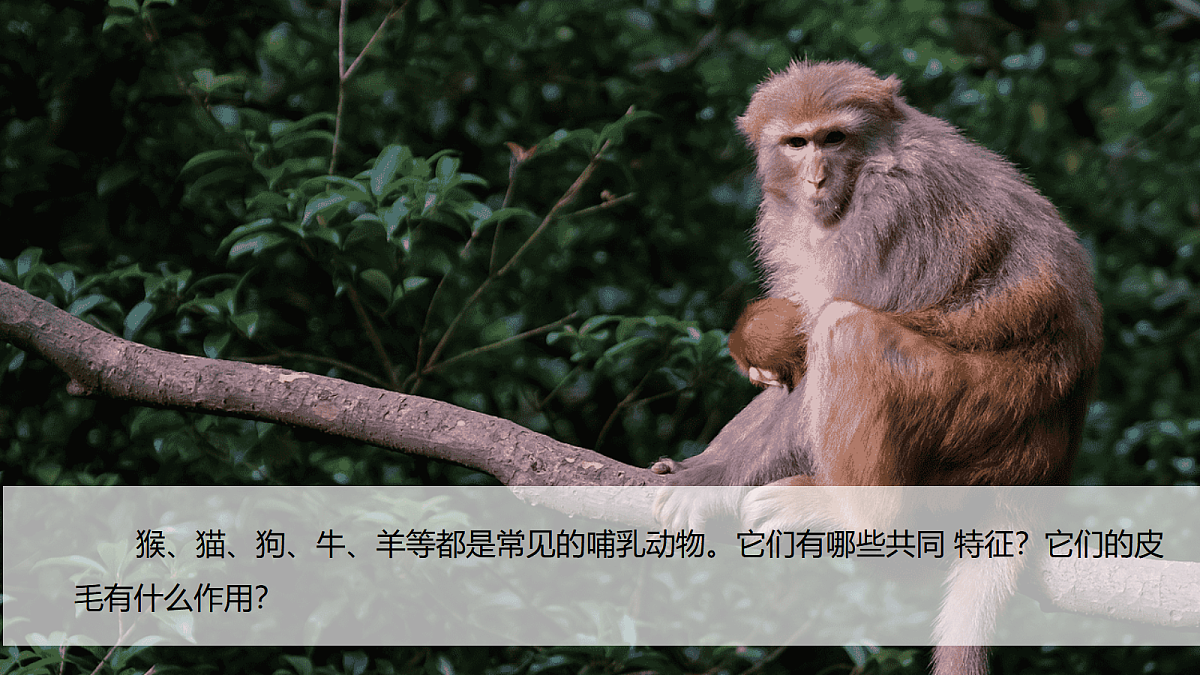 17998925第2页