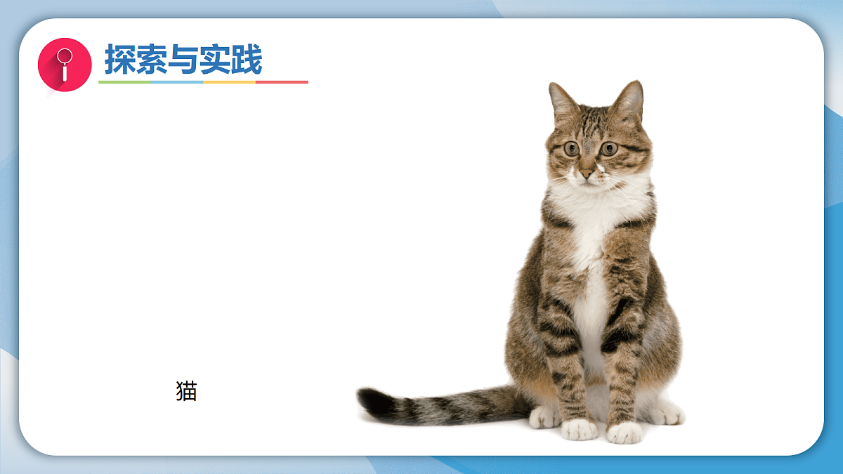 17998925第5页
