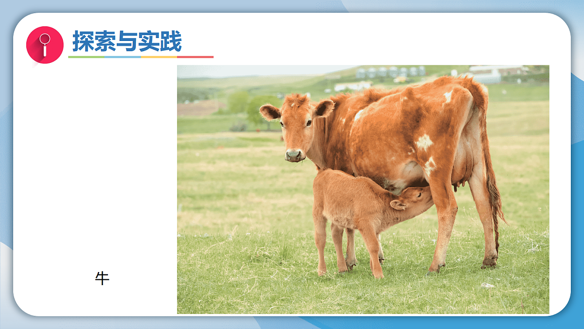 17998925第7页