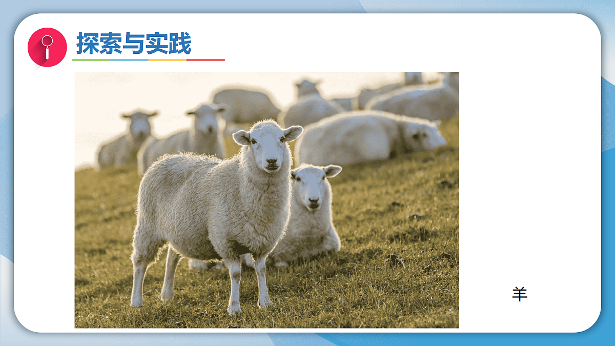17998925第8页