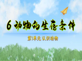 6动物的生存条件（课件）科学三年级下册（粤教科技版2024）