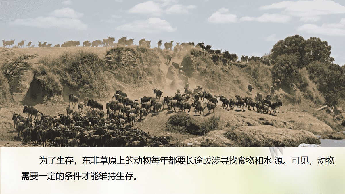17998926第2页