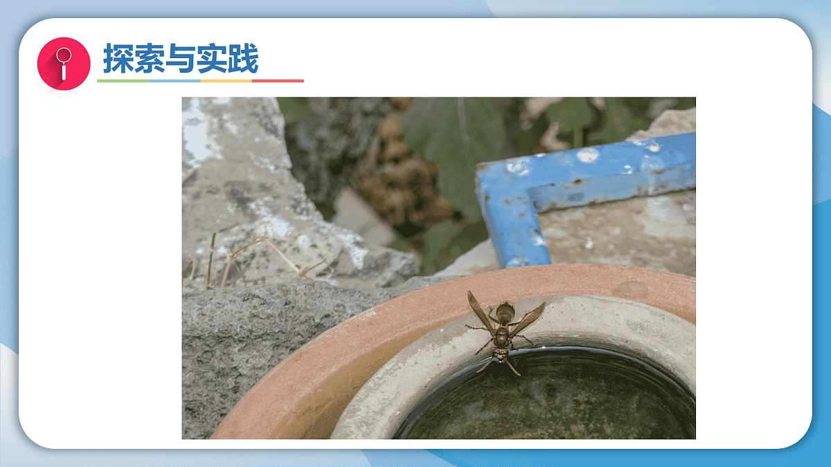 17998926第7页