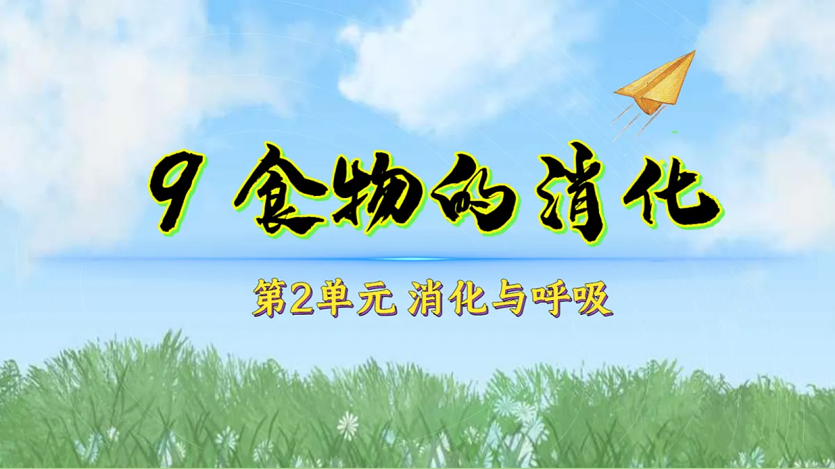 17998929第1页