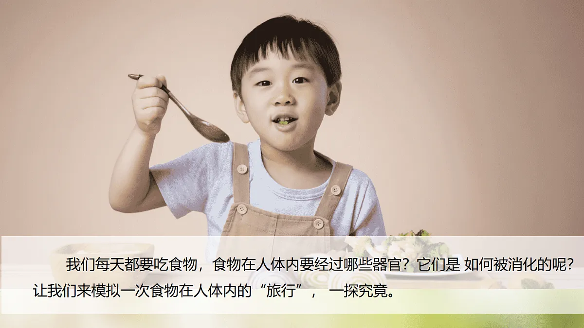 17998929第2页