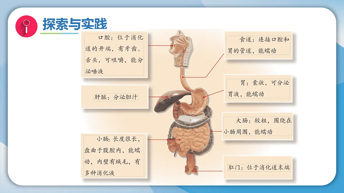 17998929第5页