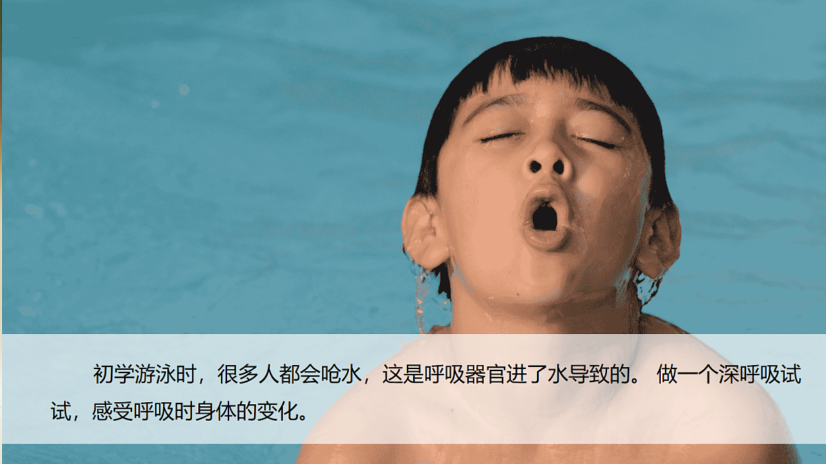 17998930第2页