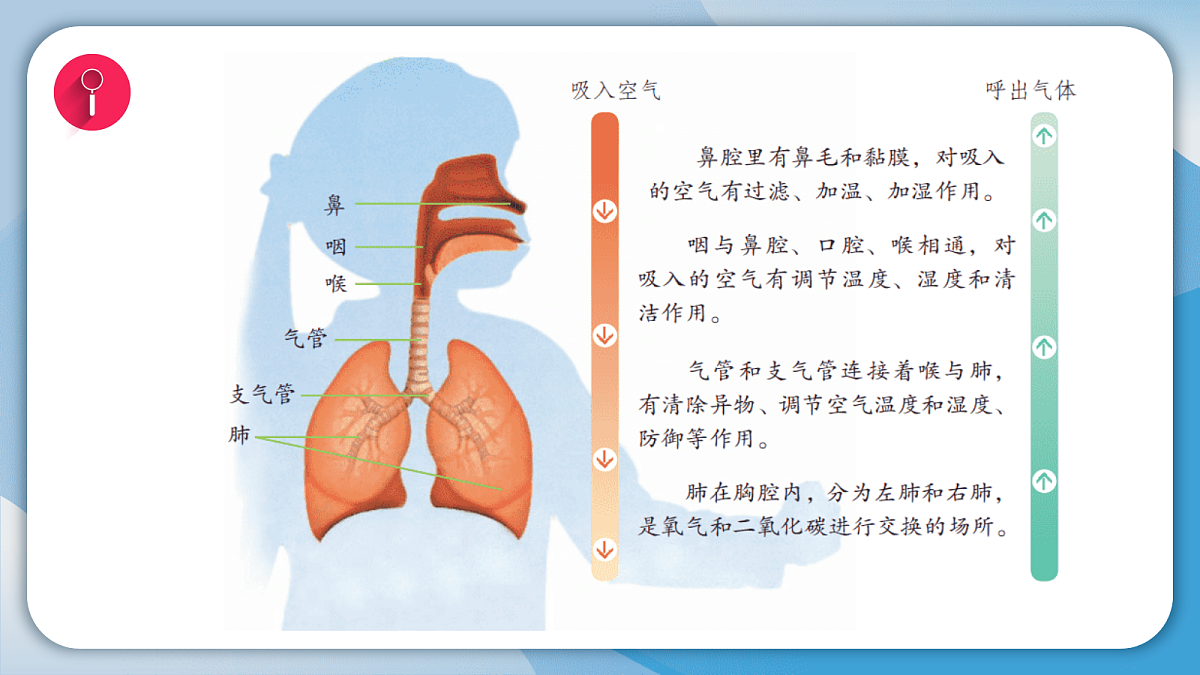 17998930第5页