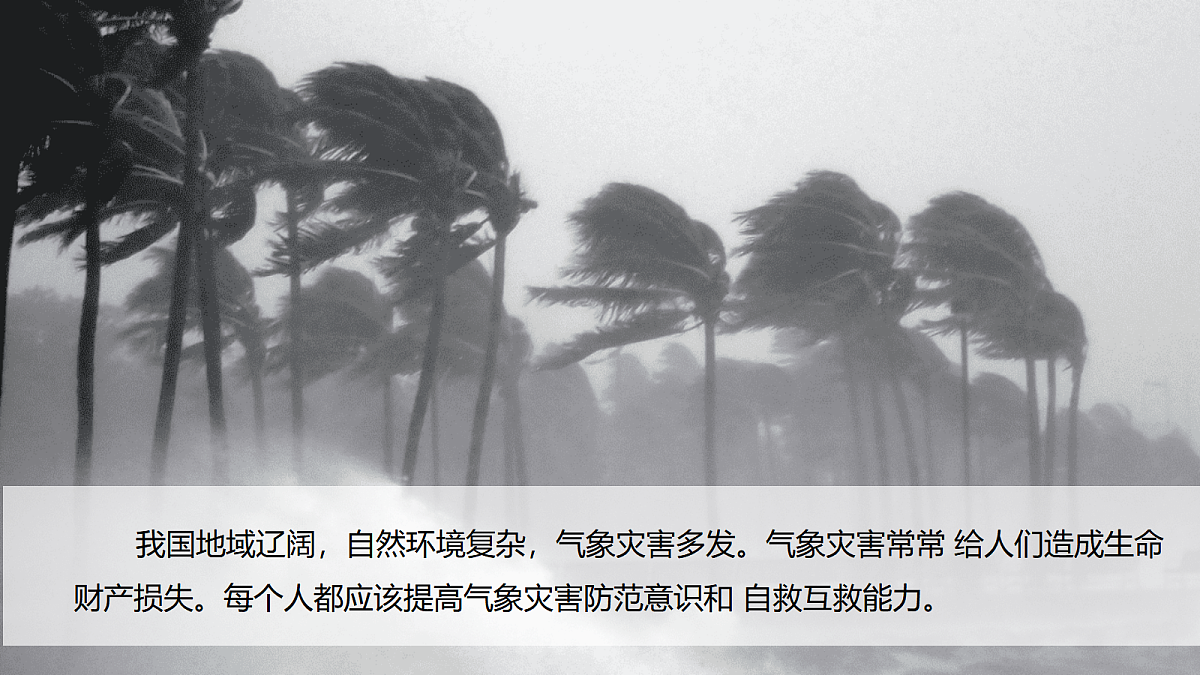 17998937第2页