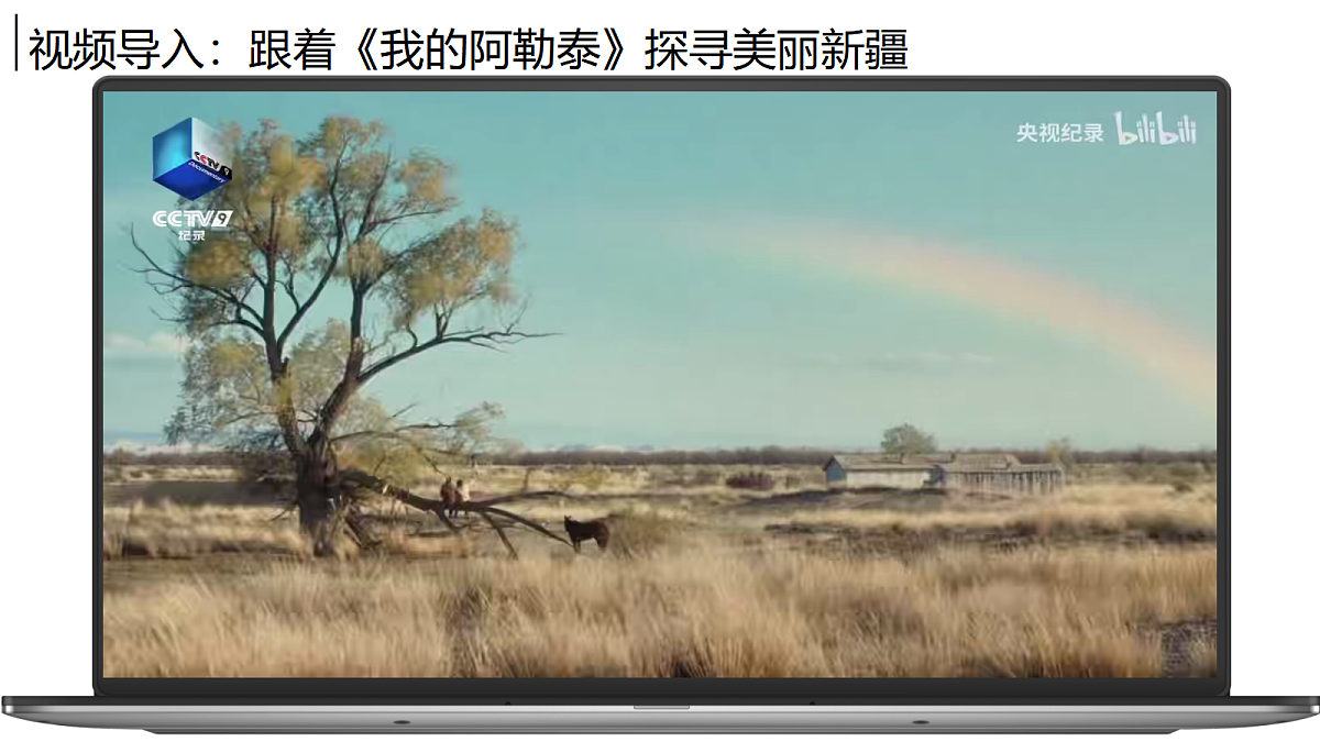 17998964第2页